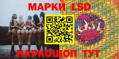молекула духа Коммунар